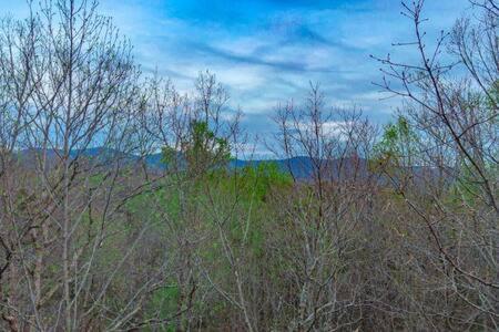 Family Fun-Relax-Mtn View-Game Rm-Hottub Villa Blue Ridge Exterior foto